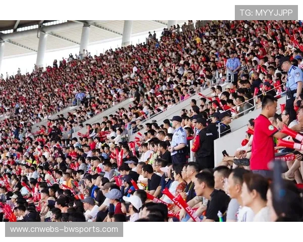 球迷文化受关注,赛场安全与观赛体验需平衡